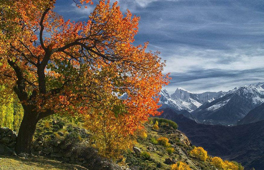 https://hunzaadventuretours.com/tour/hunza-valley-autumn-tour/