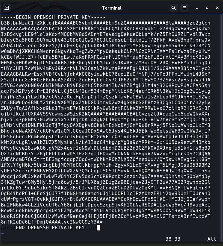 vim editor