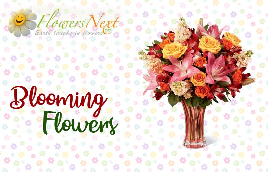 How to Easily Send Flowers to Spain by Johnnydisozall Medium