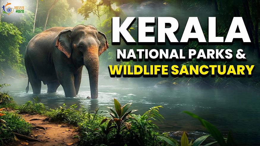 These hidden gems Kerala tourism spots reveal the real wild beauty of God’s Own Country. Next time you plan a trip, skip the usual crowds and explore these secret national parks and wildlife sanctuaries in Kerala. You’ll feel like you’ve discovered a hidden world! #KeralaNationalParks #WildlifeSanctuariesInKerala #PeriyarNationalPark #SilentValleyNationalPark #EravikulamNationalPark #KeralaWildlifeTourism #WesternGhats #HiddenGemsKerala #BharatMataChannelShare this with your travel-loving friend