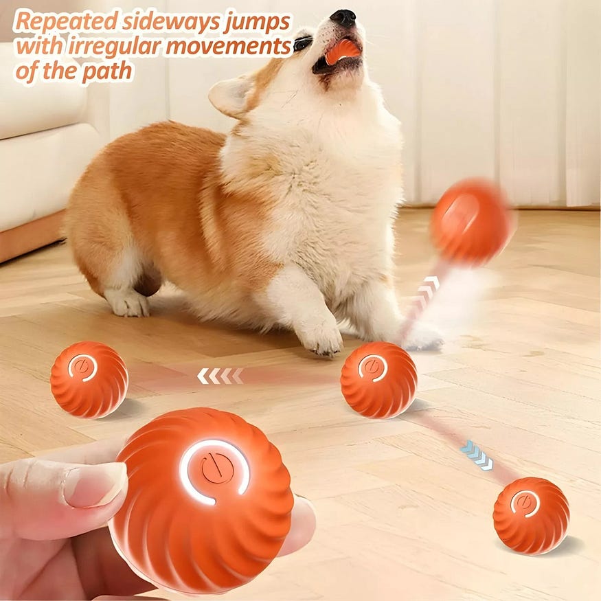 A dog playing with interactive toys is in the picture