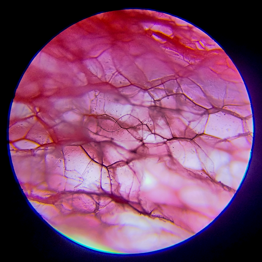 1*dnGWlVcGvJZSQL5hKxtS4g