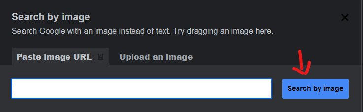 google search by image