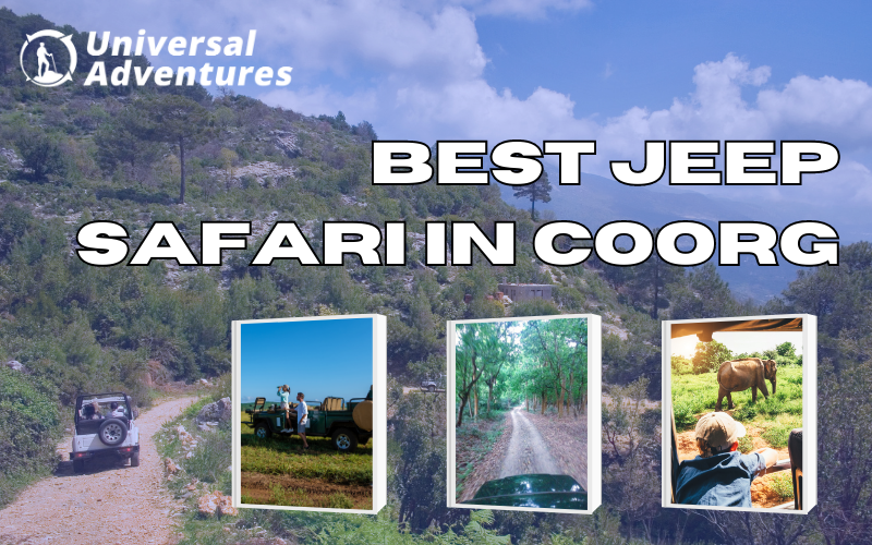 Jeep Safari in Coorg