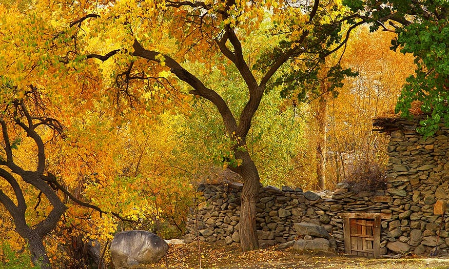 Pakistan Autumn Tour-https://hunzaadventuretours.com/tour/hunza-valley-autumn-tour/