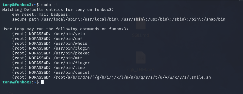 sudo exploit