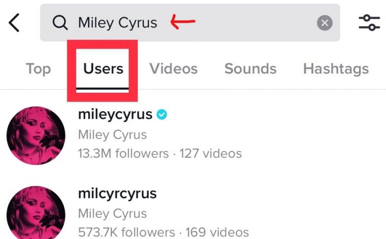 TikTok account search
