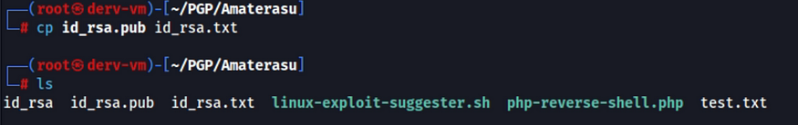 rename to txt