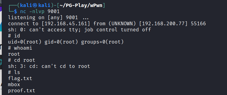 root flag