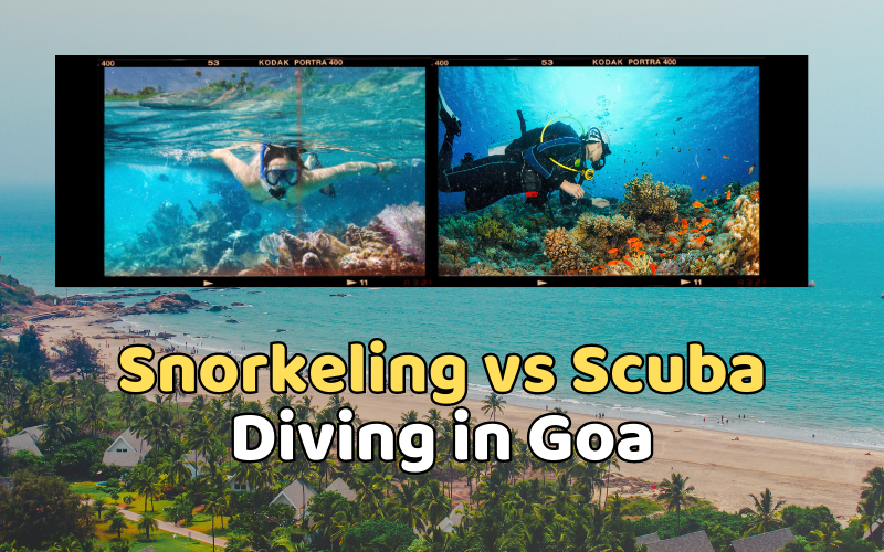 Scuba Diving in Goa