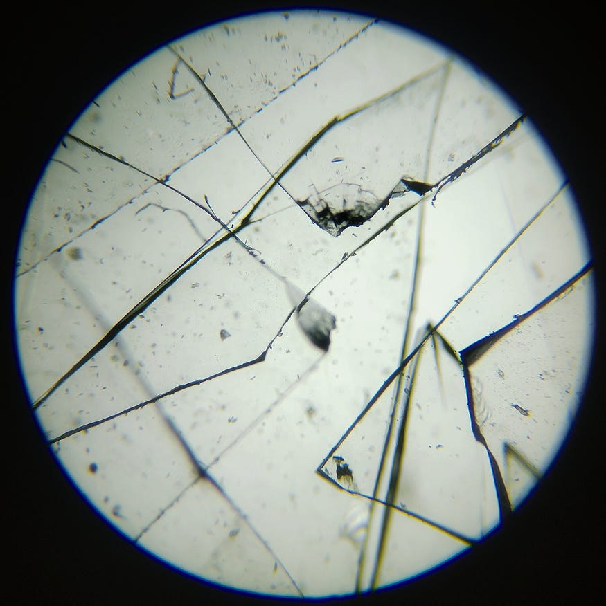 1*swXvWraLBWJosuDx49YBFQ