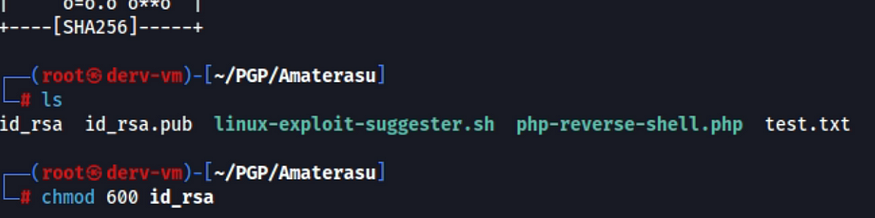 id_rsa files