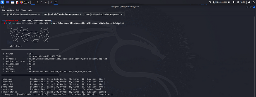 ffuf for fuzzing