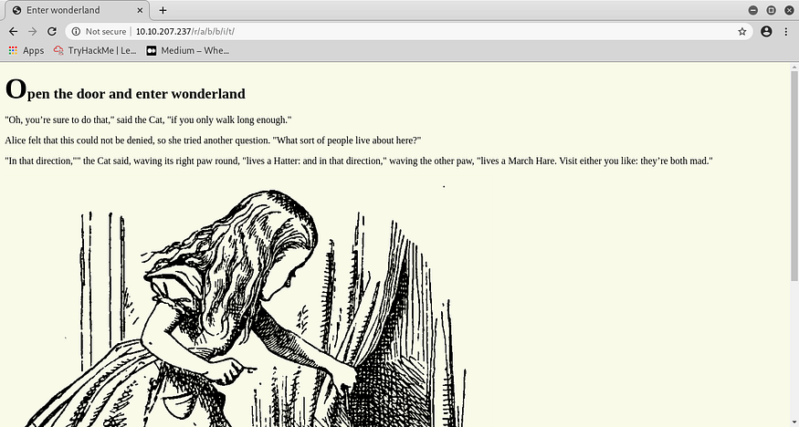 Website Hint Page