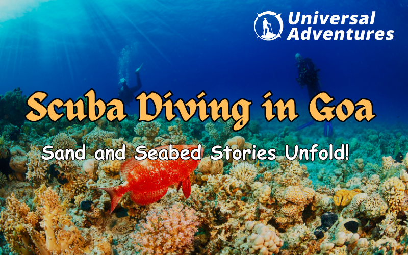 Scuba Diving in Goa