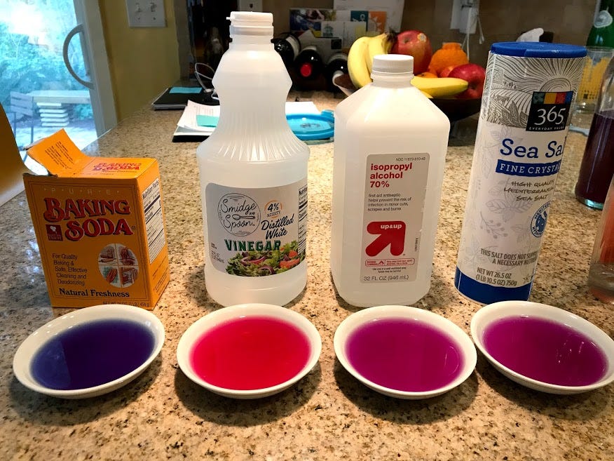 Red cabbage indicator. What is a base and an acid? by Magda Janczuk