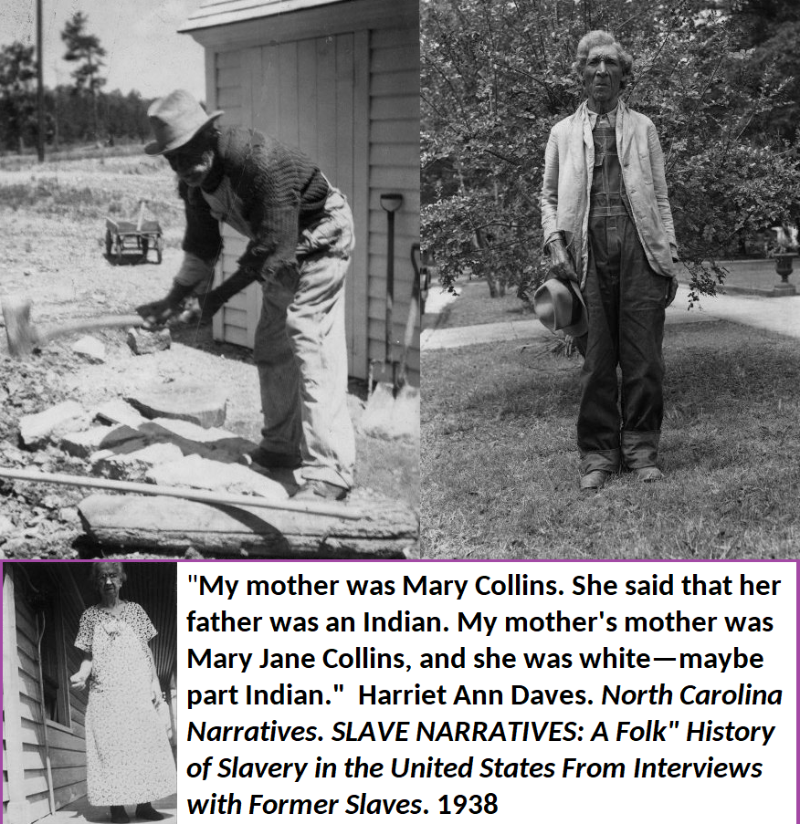 Formerly-enslaved Indians. TOP LEFT: Abraham Jones lived in Alabama (circa 1843–1947). “My grandpappy was a full-blooded Indian but I don’t know what kind.” TOP RIGHT: Nathan Beauchamp lived in Alabama (1858–1948). “So one day pappy came to de massa and tell him dat dere wuz an Injun gal on de St. Francis Indian Village dat he wanted fo’ a wife, an’ de boss say all right so pappy married de Indian gal. Her name wuz Mimi. So I is half n — — r an half Injun. My mammy died ‘bout five year after freedom, but I can remembers dat she had long black hair, and I remembers de way de sun sparkle on her teeth when she smile.” BOTTOM: Harriet Ann Daves (1856–1937) was born in Virginia and lived North Carolina. “My mother was Mary Collins. She said that her father was an Indian. My mother’s mother was Mary Jane Collins, and she was white — maybe part Indian.” See: SLAVE NARRATIVES: A Folk History of Slavery in the United States From Interviews with Former Slaves. 1938.