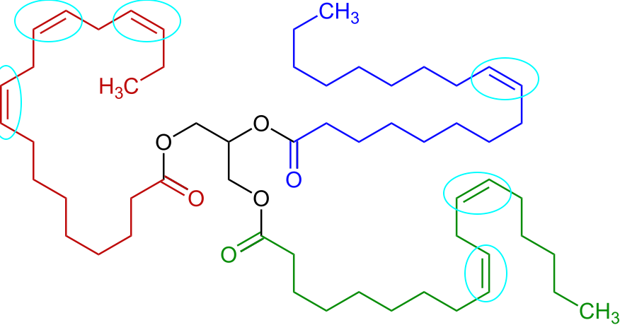 Unsaturated fats like the ones in linseed oil possess reactive double-bonds
