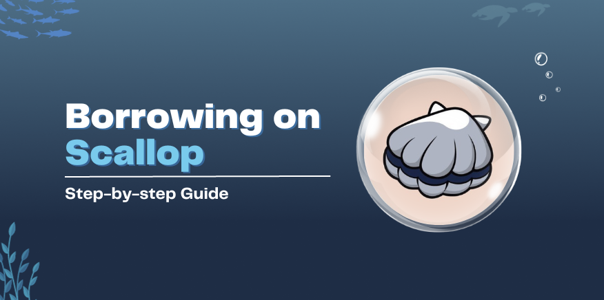 The Ultimate Scallop Guide Learn What They Look Like How To Eat Them - 3ifg28u