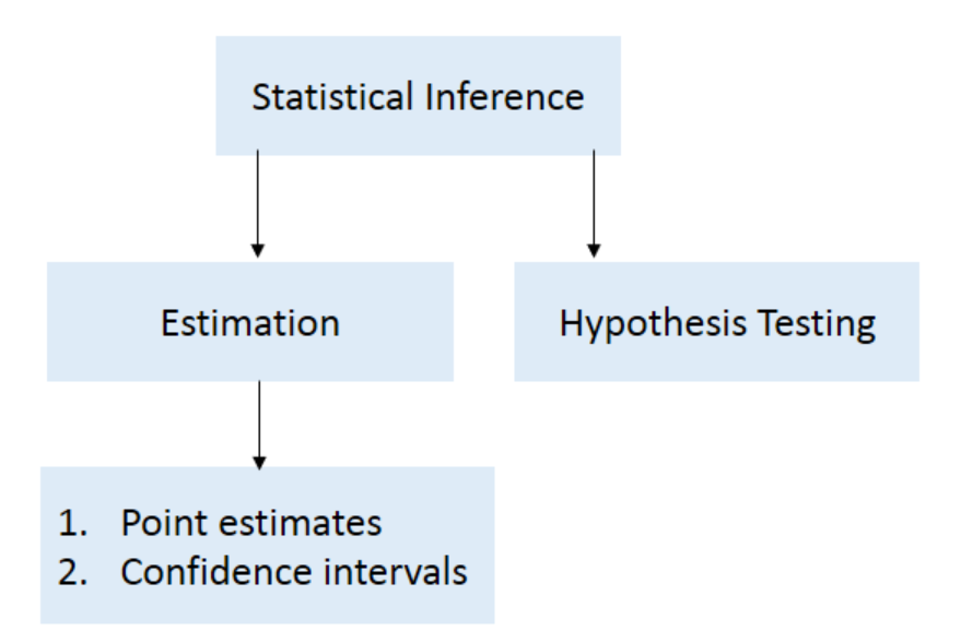 Estimation and Inference: A Comprehensive Guide