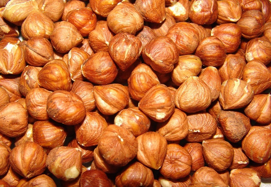Shelled Hazelnut Hazelnut Store Medium
