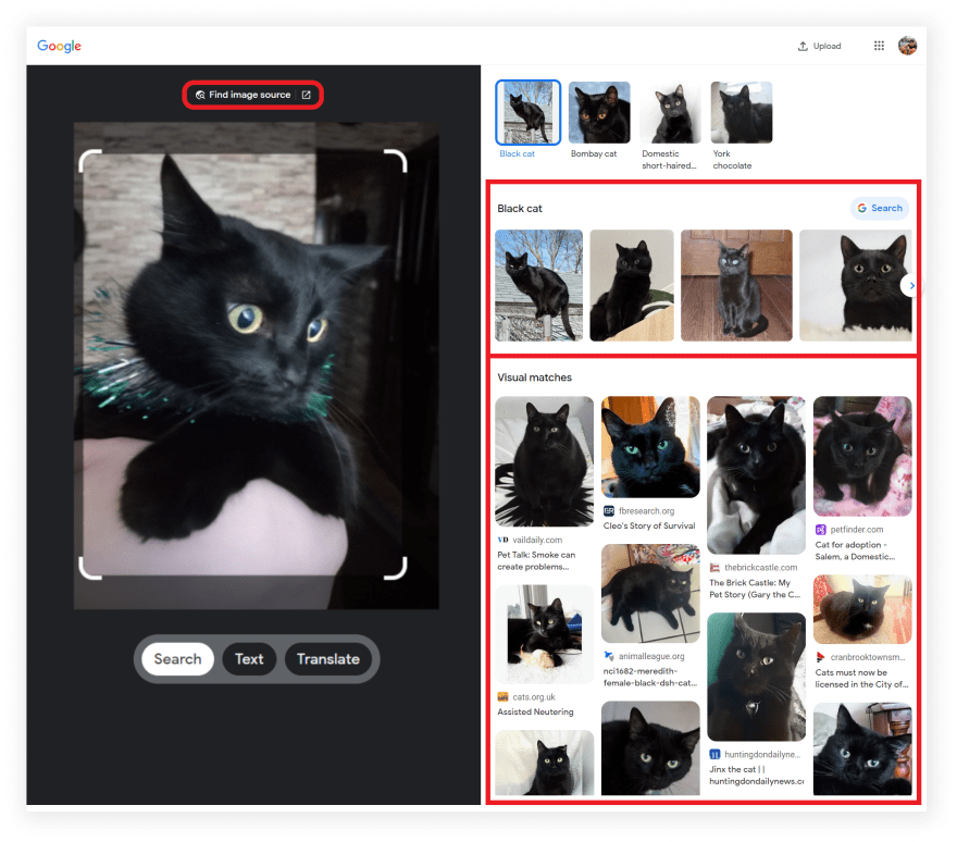Scrape Google Lens with Python. This blog post is a stepbystep… by