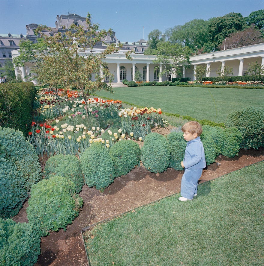 John F. Kennedy Jr. in the White House Rose Garden, April 26, 1963. Photograph by Cecil Stoughton | Public Domain