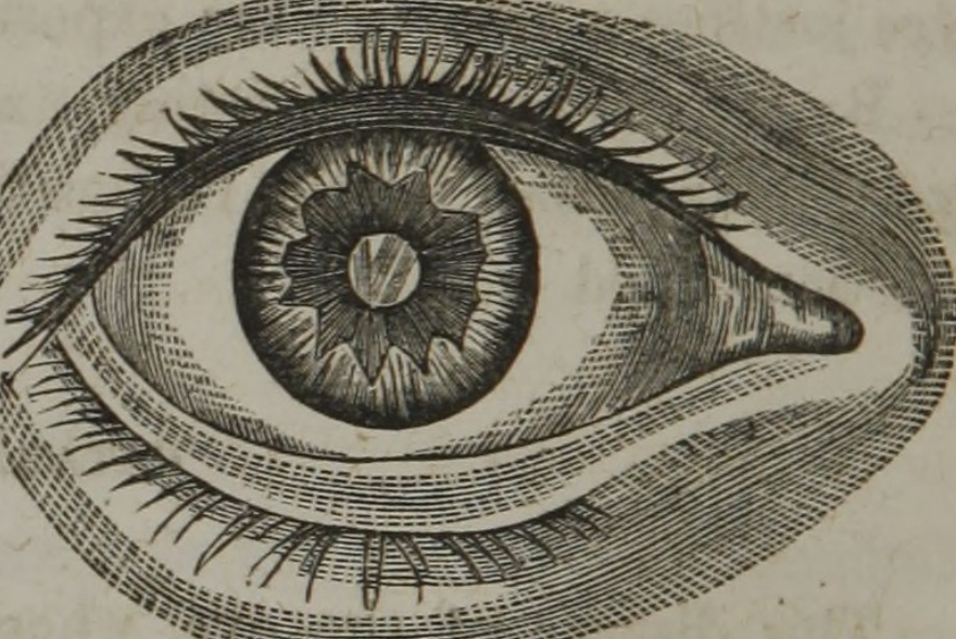 The Illinois Biometric Information Privacy Act (BIPA) by Golden Data