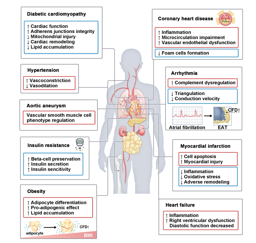 (Data source: Kong Y, et al. Front Immunol. 2024)