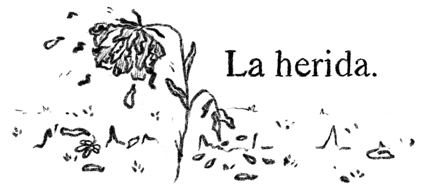 La herida, el duelo y el llanto.