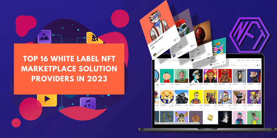 Building Your Own NFT Marketplace: A Guide to White Label Solutions