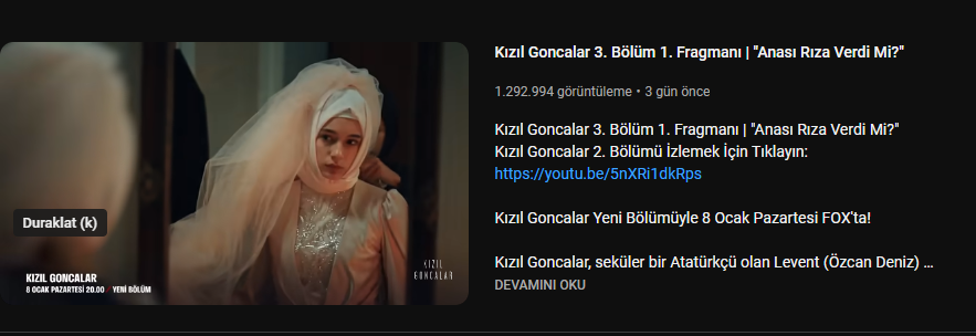 Kızıl Goncalar: Türkiye’de Iskalanan Hayat