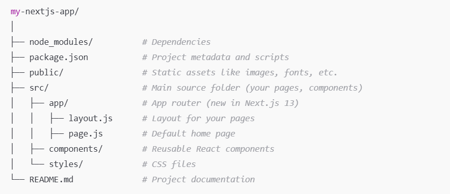 Next.js Project Structure Demystified: What Goes Where and Why It ...