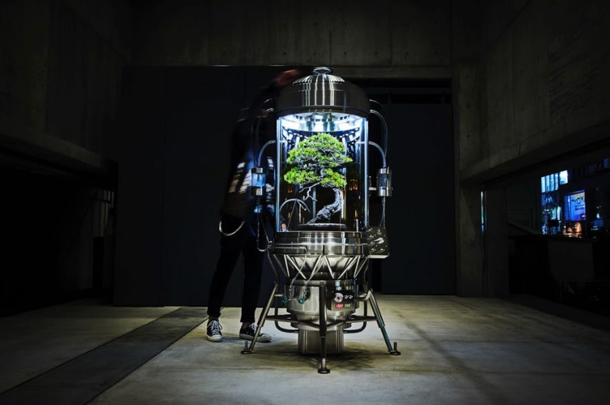 Bio Art: Crafting New Dialogues with Life and Technology