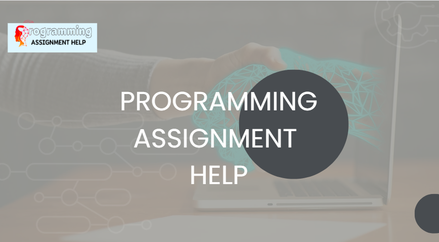 Your Source for Programming Assignment Help | by Morgandemon | Medium