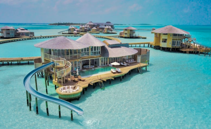 DRIP Garden. Why now is best time to buy!! by RK Crypto King Cryptozoa