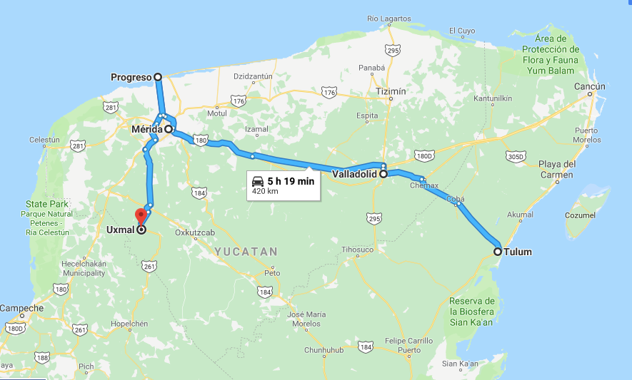 3. Shotguns, Ice cream, Dancing and Trova by Benjamin Parker Medium