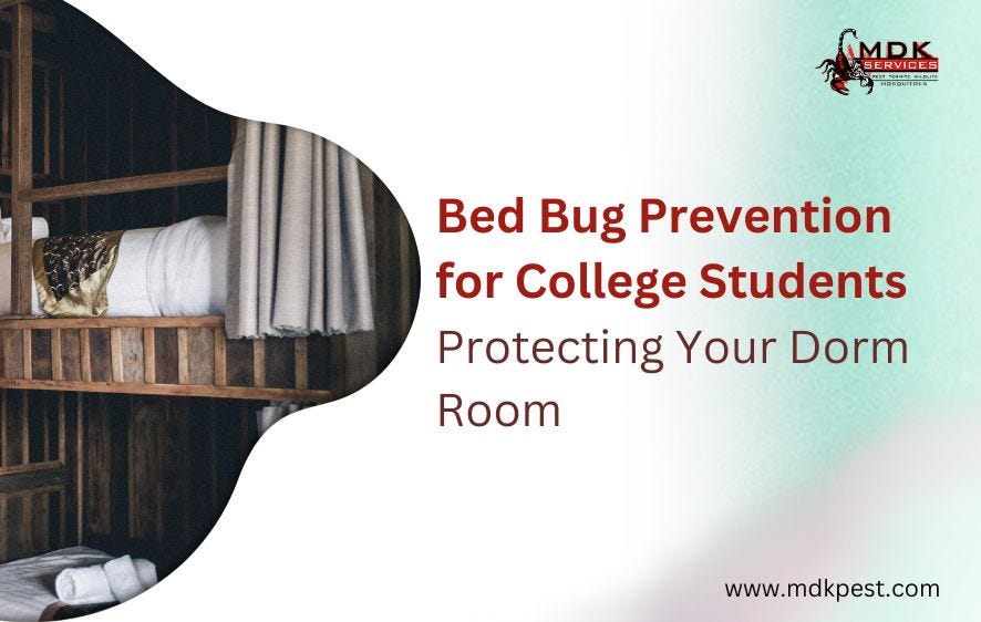 Bed Bug Prevention for College Students Protecting Your Dorm Room by
