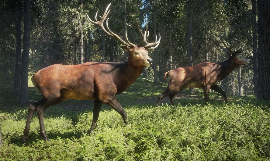 Are Trail Cameras Effective for Home Security? Comparing Trail Cameras