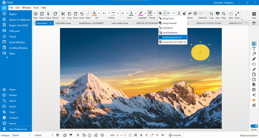 Arrange Annotations in Pixtel: Organize Your Image Elements Easily