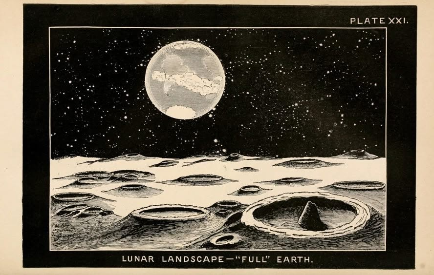 Morbid Is Alive.. A black bunny, visiting the moon. His… by