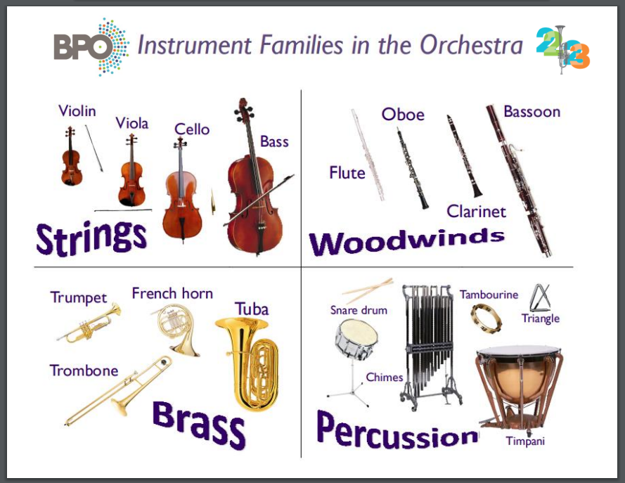 Instrument Families Nikole Saleen Zamora Medium instrument-families-nikole-saleen-zamora-medium