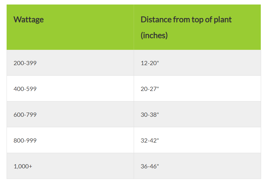 LED Grow Light Distance Chart How Far Should Led Grow Lights Be From