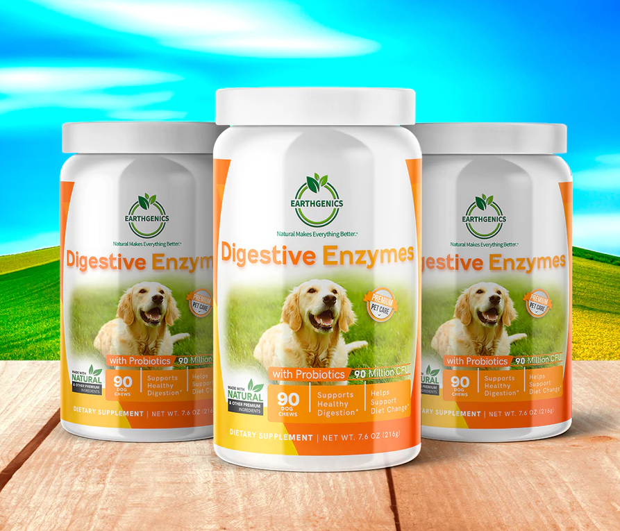 All You Need To Know About Digestive Enzymes For Dogs. by Earthgenics