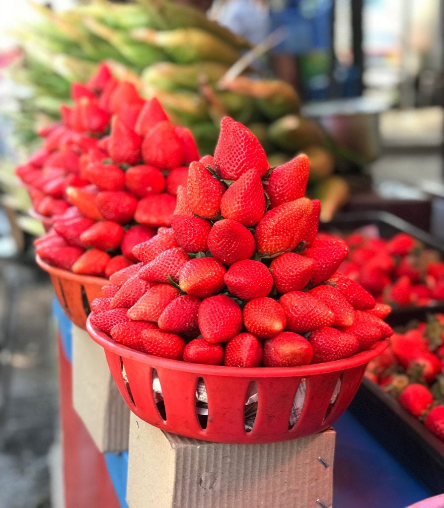 Strawberry agrotourism in Mahabaleshwar by Nidhi Gupta