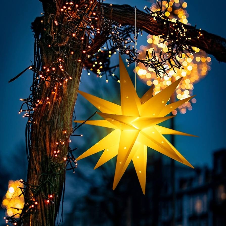 Anxious Species in Survival Mode in this Crazy World by Anna Jan, 2024 Medium