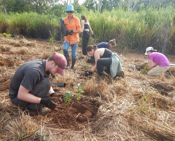 A group of six college students crouching on ground covered in straw and soil, planting plants.