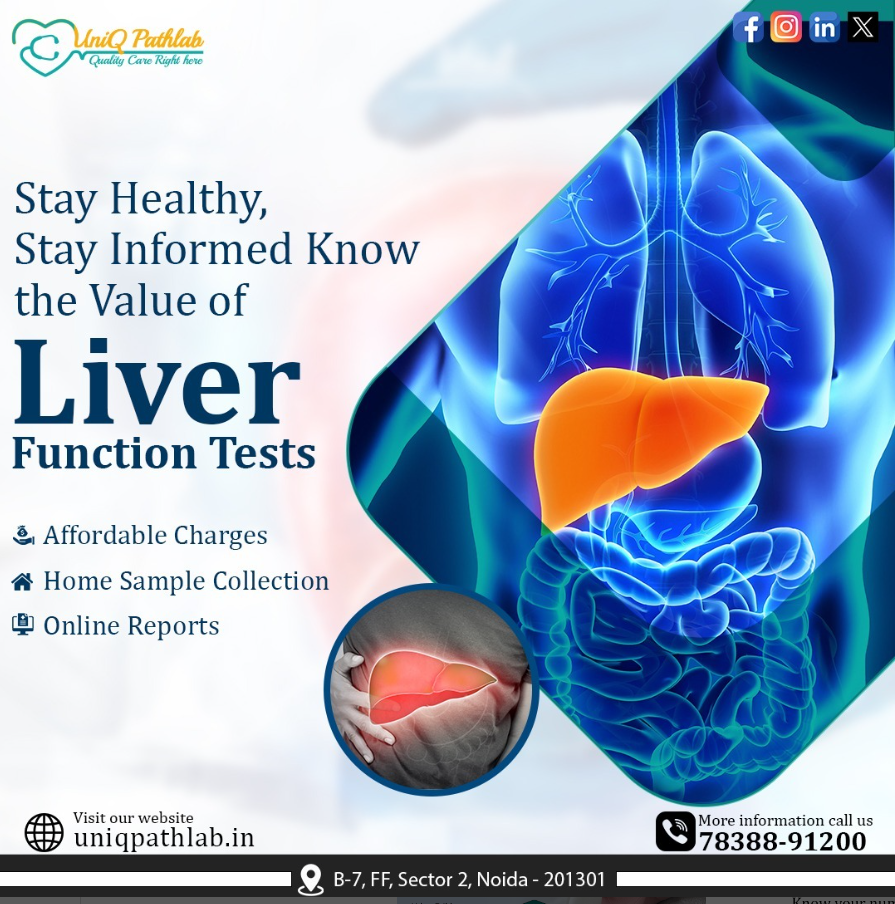 Liver Test In Noida UniQ Pathlab by Uniq Pathlab Dec, 2023 Medium